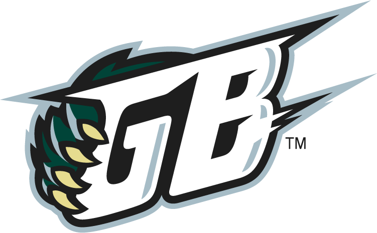 Green Bay Blizzard 2010-2014 Alternate Logo v2 iron on transfers for clothing